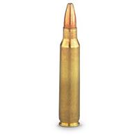 Hollow Point Power-Lokt