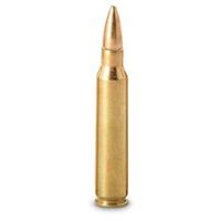 .223 55-gr. FMJ