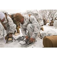 Conquer the tundra