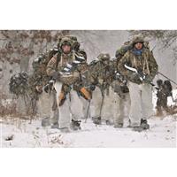 Conquer the tundra