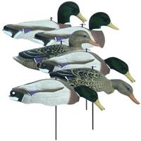 Higdon® Magnum Full Form Shell Mallard Decoys with Flocked Heads, 6 Pack