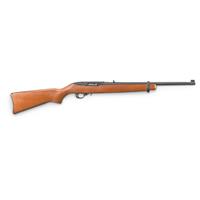 Ruger 1022