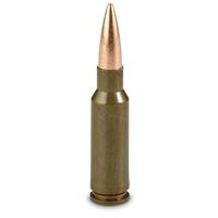 6.5 Grendel 00 grain FMJ Ammo