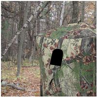 Peek window on back