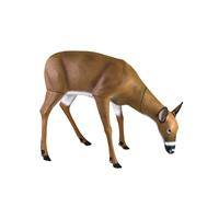Simulates an adult-sized whitetail doe
