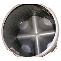 Holds and dispenses up to 200 lbs. of corn or protein pellets