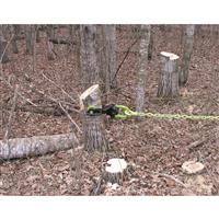 Remove bothersome stumps