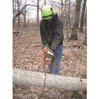Face gear offers protection