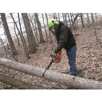 Protect your eyes and ears from debris and loud chainsaws