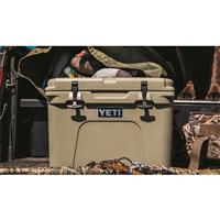 Ideal companion for hunting , Tan