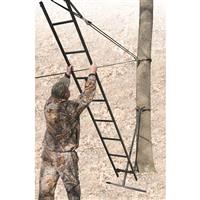 Use the hoist to install your tree stand
