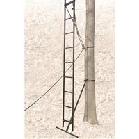 Fast, safe and simple tree stand set-up/takedown