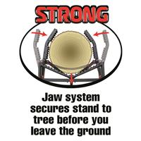 Jaw system secures stand to tree before you leave the ground