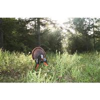 Works great as a stationary gobbler decoy