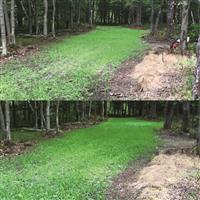 Comparison field