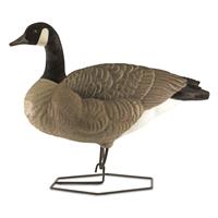 DOA Decoys Rogue Series Full-Body Canada Goose, 6 Pack