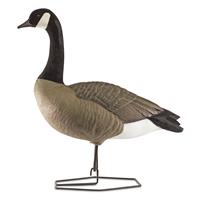Tall pose decoy