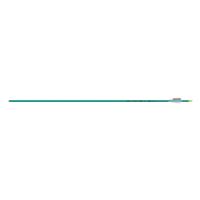 Easton Aluminum Genesis Arrow, Teal