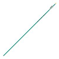 Easton Aluminum Genesis Arrow, Teal