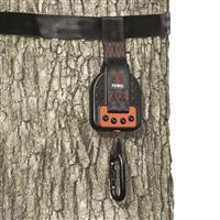 Includes tree strap and heavy-duty carabiner