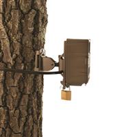 Screws or straps to any tree