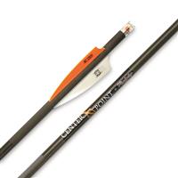 CN/_ 3Pc Lighted LED Crossbow Arrow Nocks for Crossbow Arrows