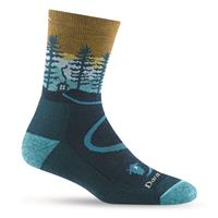 Darn Tough Women&#039;s Hiker Micro Crew Cushion Socks