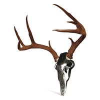 Do-All Iron Buck Antler Mount