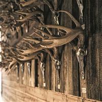 Sculpted stainless steel design 