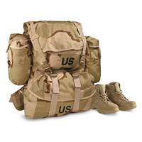 U.S. Military Surplus Desert MOLLE Field Pack Complete with Frame