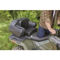 Cushioned seat and backrest