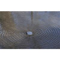 Lucky Duck™ Quiver Magnet H2O