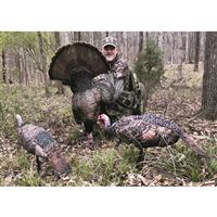 Montana Decoy Purr-Fect Pair XD Turkey Decoys