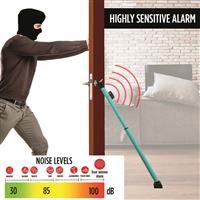Any attempted break-in triggers 100-db alarm, Teal
