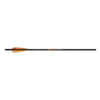 Mission 19" .001 Premium Carbon Crossbow Arrows, 300 Grains, 3 Pack