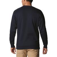 Back view