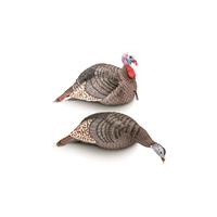 H.S. Strut Strut-Lite Jake and Feeding Hen Turkey Decoys, 2 Piece