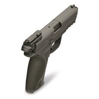 Shown mounted on an M&P