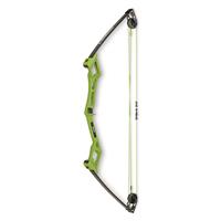 Bear Archery Apprentice Youth Compound Bow Set, 13.5-lb. Draw Weight, Right Hand