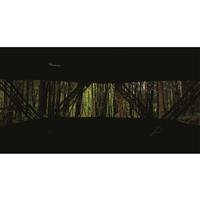 Extreme View one-way, see-through mesh