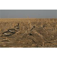 Avery Killerweed Layout Blind Kit, All Terrain