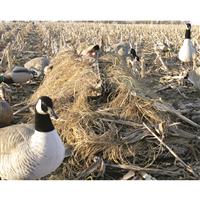 Avery Killerweed Layout Blind Kit, Golden Harvest