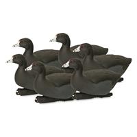 Avery GHG Hunter Series Oversized Coot Decoys, 6 Pack