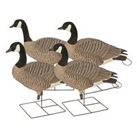 Avery Greenhead Gear Pro-Grade XD Series Canada Goose Full Body Active Decoys  4 Pack
