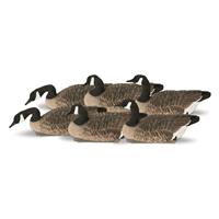 Avery Greenhead Gear Pro-Grade XD Series Canada Goose Harvester Floater Decoys  6 Pack