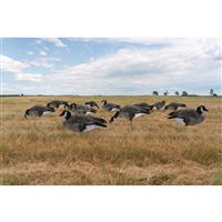 Avery GHG Pro-Grade Canada Goose Silhouette Decoys, 6 Piece Set
