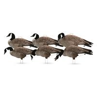 Avery GHG Pro-Grade Canada Goose Silhouette Decoys, 6 Piece Set