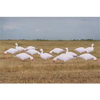 Avery GHG Pro-Grade Snow Goose Silhouette Decoys, 6 Piece Set