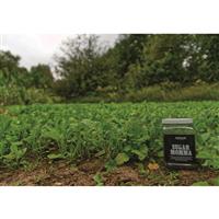 Specially formulated mixture of turnip, rapeseed, kale, clovers, and chicory