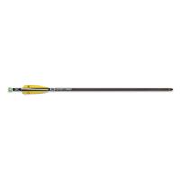 20in arrow